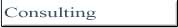 Technology Consulting