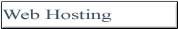 Web Hosting